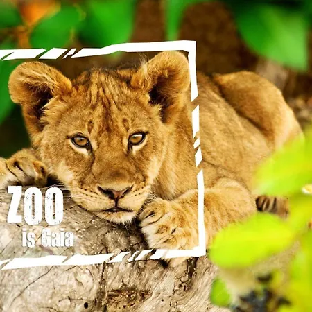 Дом отдыха 118 Bungalowpark *