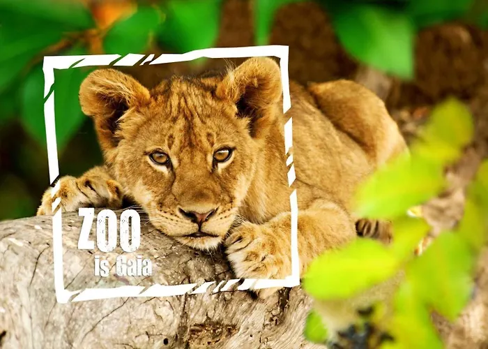 Feriehus 118 Bungalowpark *